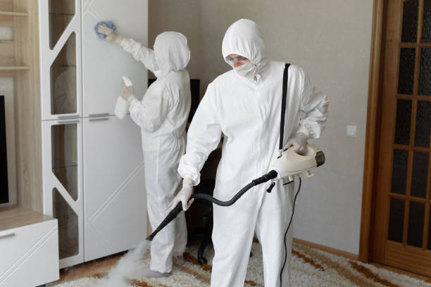 Professional Mold Remediation in Hasbrouck Heights, NJ