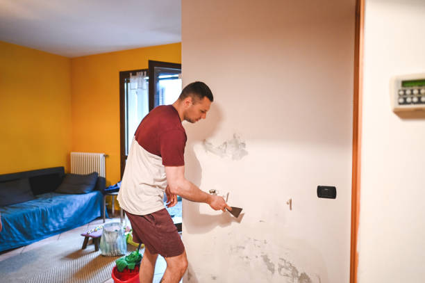 Best DIY Mold Remediation Support Services in Hasbrouck Heights, NJ